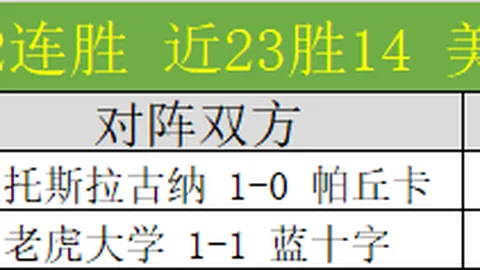 深度揭秘：英超狼队U21赛事精彩盘点与全面解析！